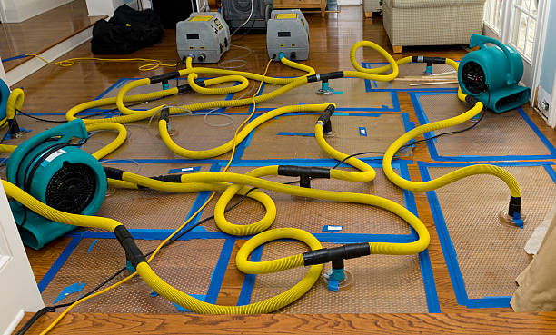 Professional Water Extraction technician working in Palmdale, PA